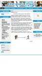 Mobile Screenshot of fitness-4-health.com